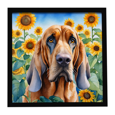 Bloodhound in Sunflowers Framed Metal Print