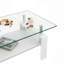 Table basse rectangulaire avec tablette de rangement et plateau en verre trempé-464948281-464948283