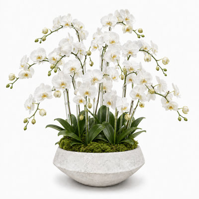 Pot à fleurs en ciment Henrietta