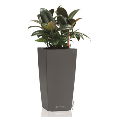 Pot Planter