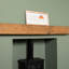 Anaum Decorative Accent