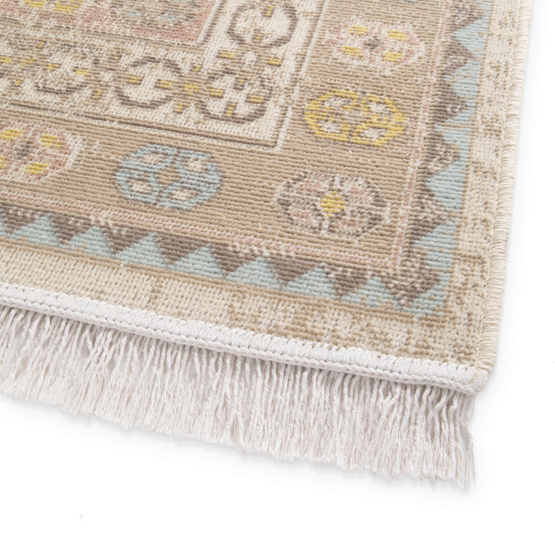 Hillegierd Oriental Indoor Rug, Rectangle 5'3" x 7'