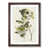 Walnut Framed selected