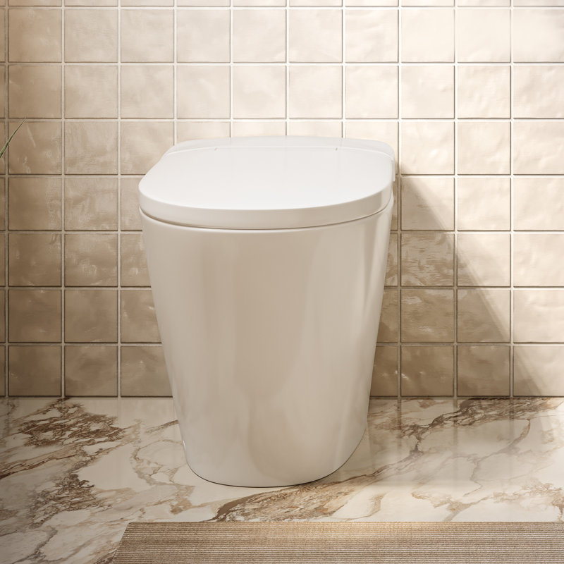 Toilette monobloc 12 po à chasse d'eau brute à chasse d'eau 1,1 GPF par Swiss Madison Hugo