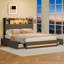 Upholstered Bed-1450193365