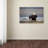 Modern & Contemporary-23529611