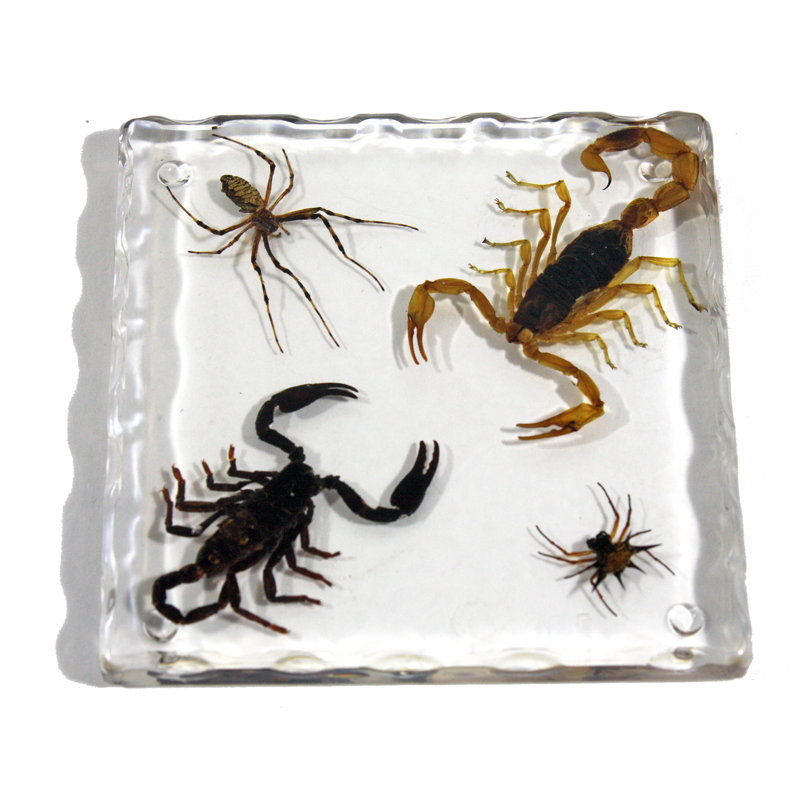 Silicone Square 1 Piece Coaster