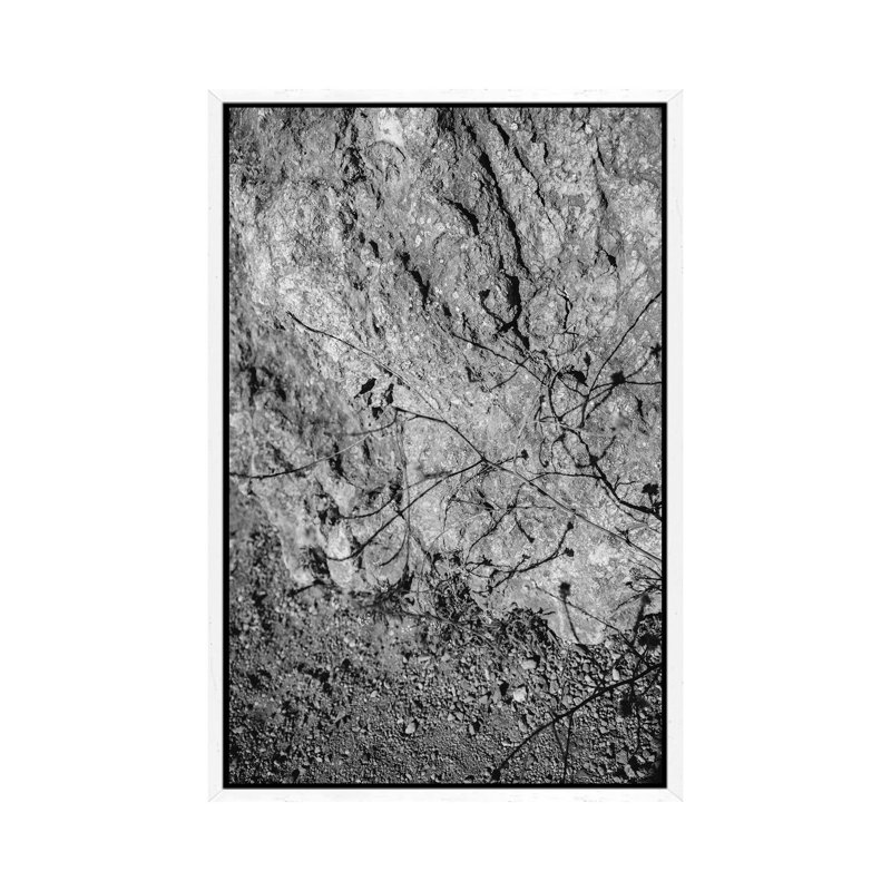 Big Sur Wild Flowers V by Bethany Young - Print on Canvas, 66.04cm H x 45.72cm W x 3.81cm D, White Framed