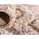 Triggs Floral Indoor Rug
