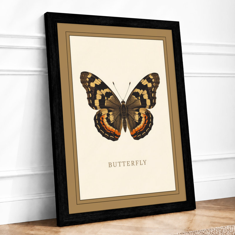 Butterfly Specimen Study Botanical - Print, A2 - 59.4 x 42.0 cm, Black