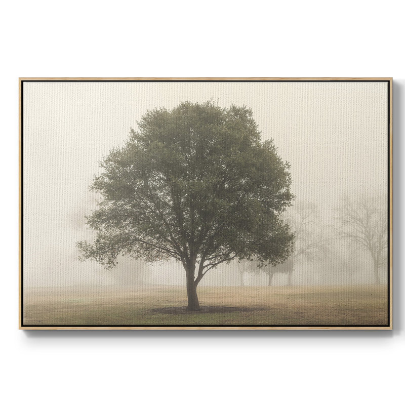 «Trees in the Fog I», reproduction encadrée sur toile, H 17 po x l 25 po x P 2 po, Naturel