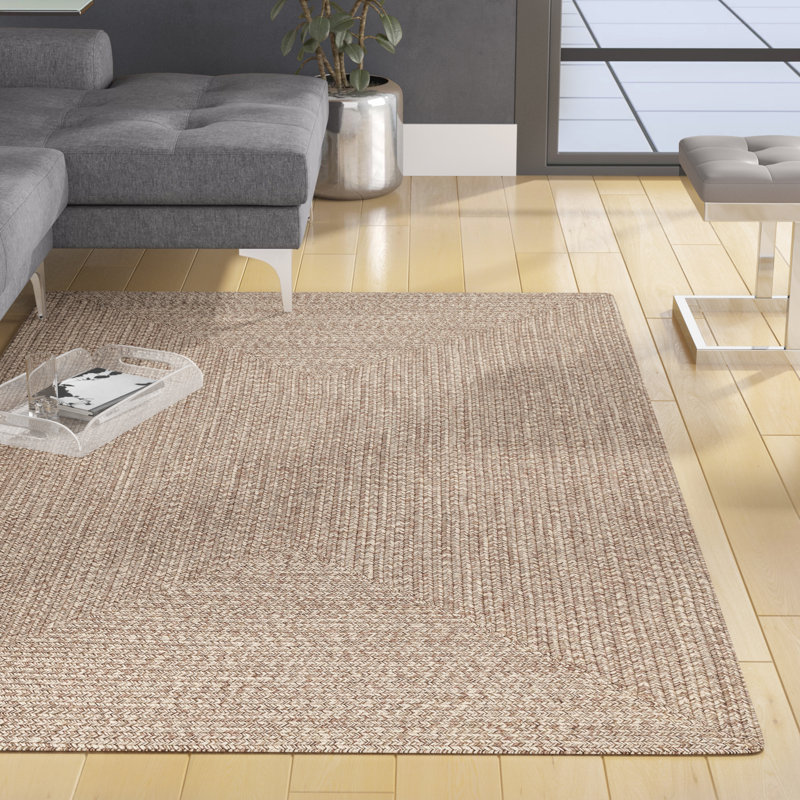 Owensby Braided Tan Indoor/Outdoor Rug, Rectangle 2' x 3'