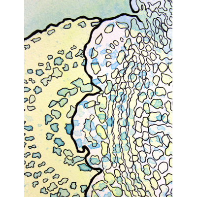 1, Inset A Print by Katie Schutte