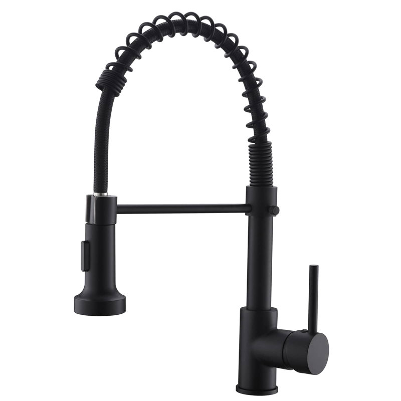 Robinet d'évier de cuisine commercial avec douchette extractible et robinets mélangeurs à ressort à poignée simple, Noir mat