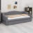 Upholstered Daybed With LED Belt And Trundle-743968746