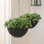 Jardinières suspendues pour plantes d'extérieur, grande jardinière suspendue avec trous de drainage, pots à fleurs suspendus noirs (13,2 pouces, ensemble de 2)