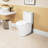 Elongated Comfort Height Toilet, 1.1/1.6 , Floor Mounted Ceramic, White, Soft Close Seat, & Ceramic One Elongated, Mount,