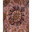 Tapis mauve en laine noué à la main 6 pi 2 po x 9 pi 1 po Chi