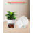 6 in Durable Plastic Planter Pots with Drainage Holes & Saucers