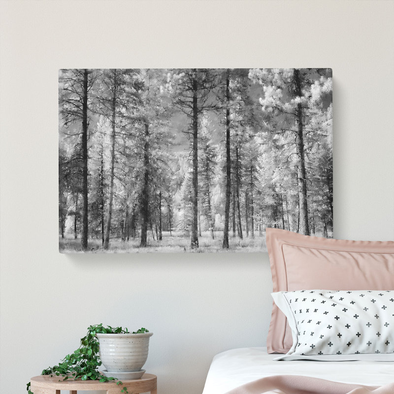 Montana Forest - Wrapped Canvas, 50cm H x 76cm W x 3cm D