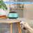 Plug-in Essential Oil Diffusers-1851849785