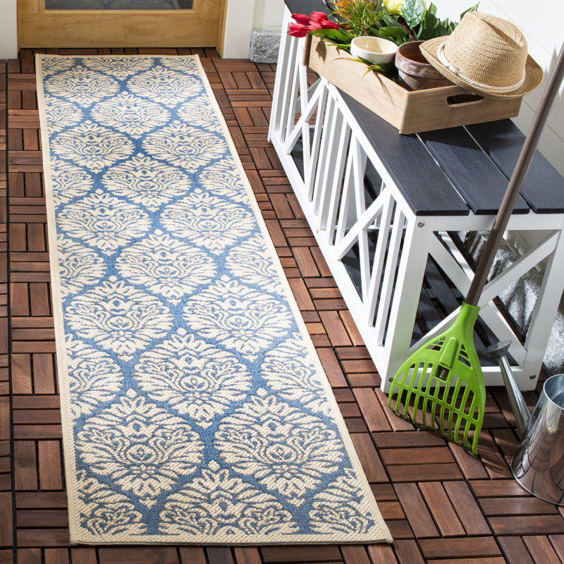 Kitt Paisley Hand Woven Indoor / Outdoor Area Rug, Runner 61 x 244 cm