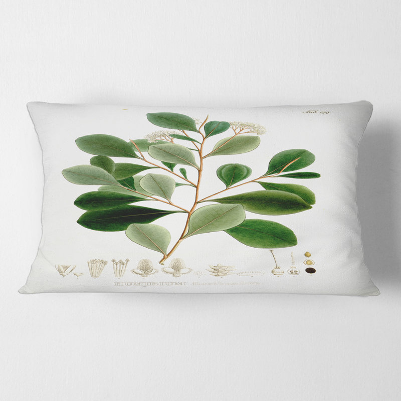 Housse et insert d'oreiller rectangulaire Botanicals IV