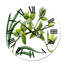 Orchidée verte - Horloge murale traditionnelle-60280948