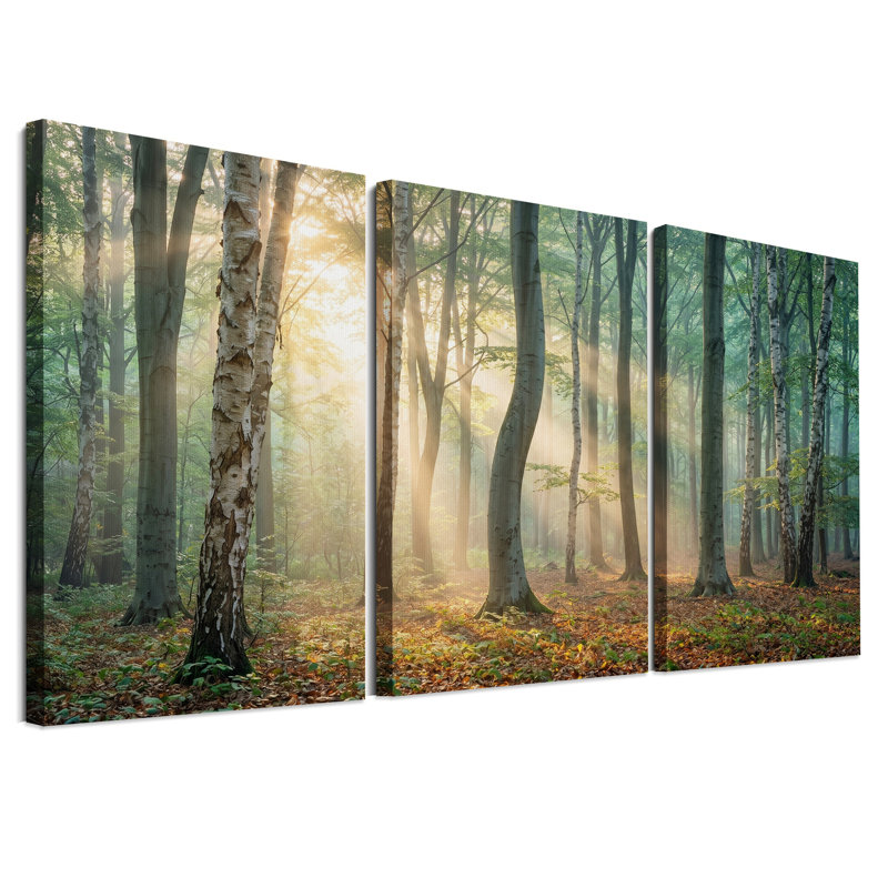 Forêt de bouleaux ensoleillée aux rayons dorés - Ensemble de 3 toiles murales, 36"H x 24"W x 3pcs