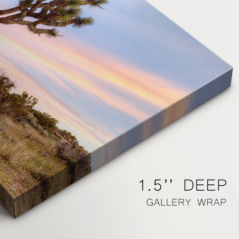 Joshua Tree Sunrise - Cavas enveloppés de galerie, H 40 po x l 60 po
