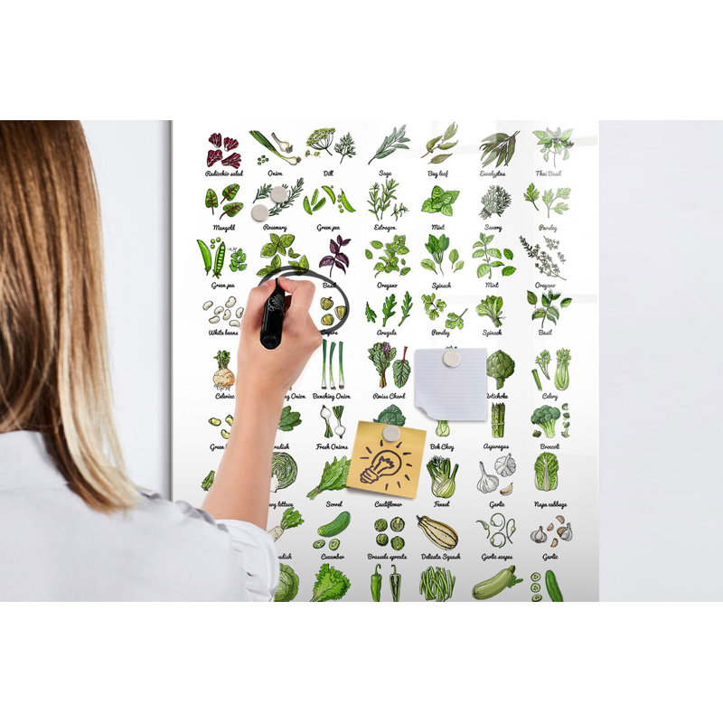 Magnetic Glass Dry Erase Board