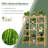 Solid Wood Plant Stand 5 Tier