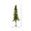 Vickerman 6' X 32" Natural Alpine Tree With 657 Tips And 250 Multi Lights.-1142449168