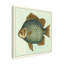 « papillon fish ii », reproduction d’impression sur toile tendue-33416481