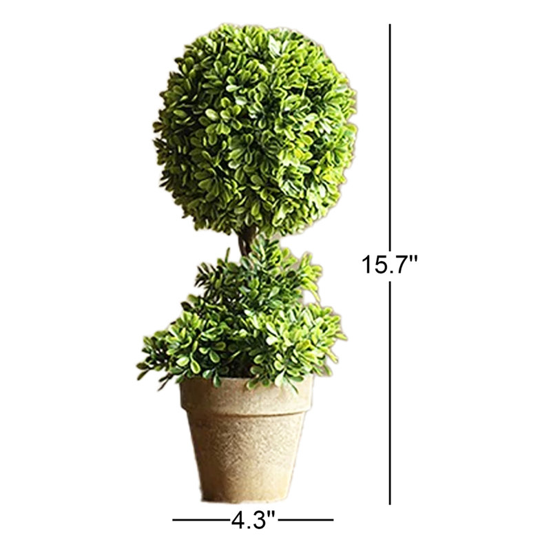 Delvonta Rustic Artificial Desktop Boxwood Topiary in Various Designs