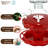 Gravity Hummingbird Feeder – Scarlet Swirl
