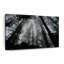 Impression sur toile sur toile gothique-92519947