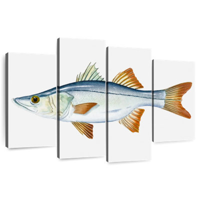 Snook