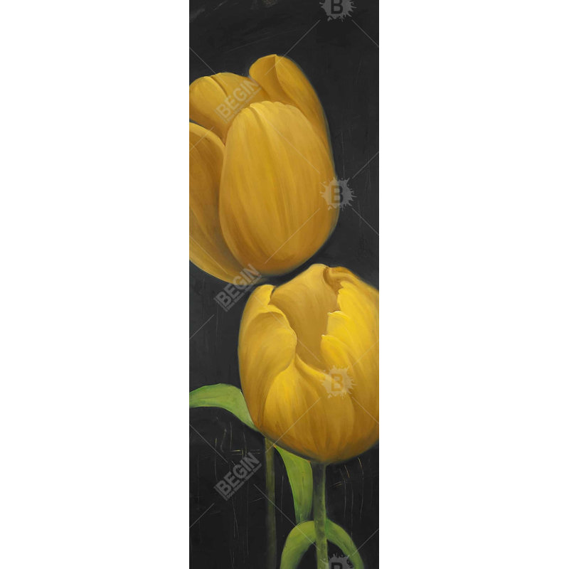 " Two Daffodils Flowers "