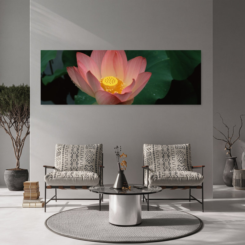 Lotus Blooming In A Pond by Terry Thompson - Wrapped Canvas Panoramic Print, 50.8 cm H x 152.4 cm W