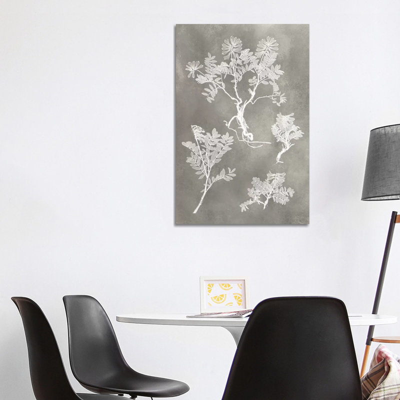 Herbarium Study II by Vision Studio - Wrapped Canvas Print, 101.6 cm H x 66.04 cm W x 3.175 cm D