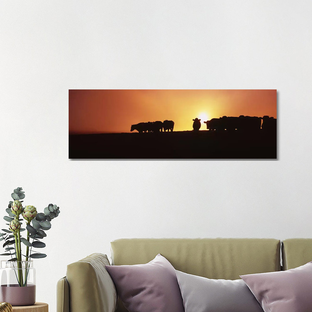Silhouette Of Cows At Sunset, Point Reyes National Seashore, California, USA - Wrapped Canvas Panoramic Print