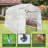 8.5x7x7 ft. Portable Walk-In Garden Greenhouse with Adjustable Height Steel Frame, Zipper Door & Ventilated Windows – Durable PE Outdoor Greenhouse-107621726-119323382