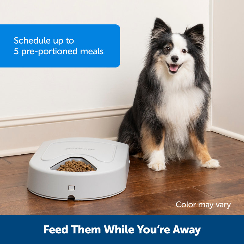 Petsafe 5 Meal Pet Feeder
