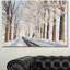 Beautiful Winter Lane at Morning - Reproduction de photo sur toile tendue-1556931946