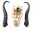 Aswath Real Springbok Antelope Skull