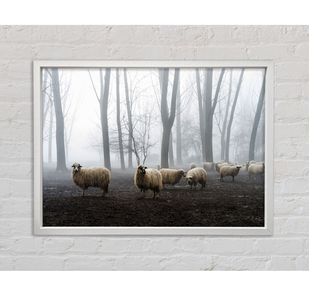 Sheep Forest - Einzelner Bilderrahmen Kunstdrucke auf Leinwand