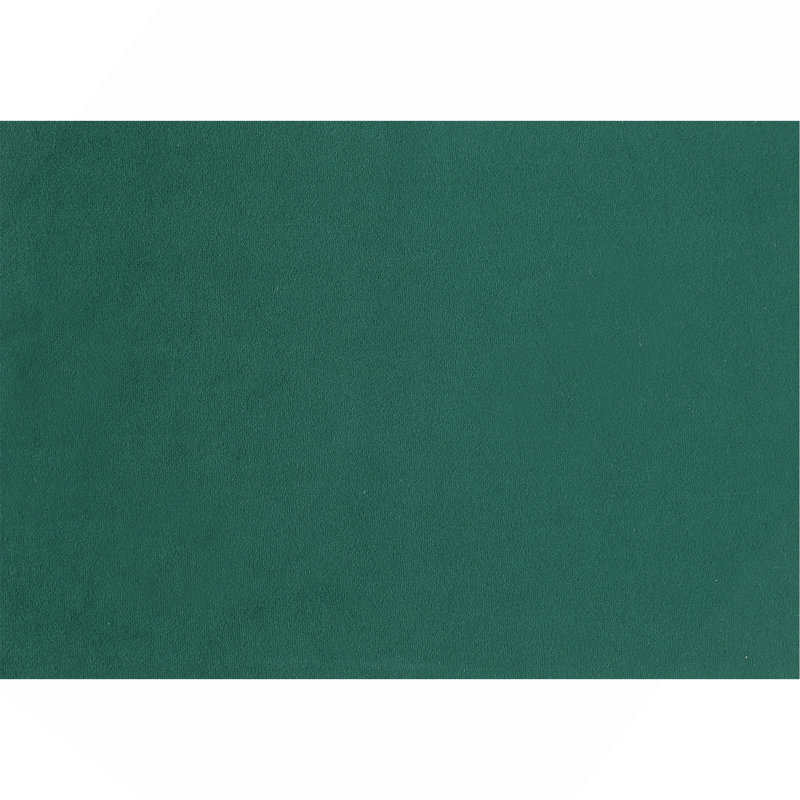 Ensemble de chaises rembourrées en tissu vert 2 pièces Modern Contemporary, Vert