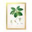 Vintage Botanicals V - peinture sur toile-59814278-59814279