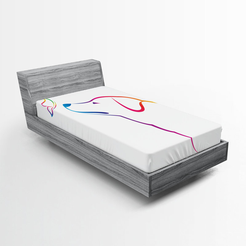Multicolore Ambesonne, Drap-housse de taille simple